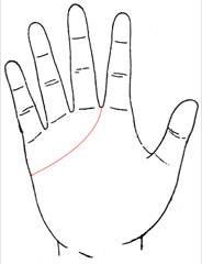 感情线至食指和中指间